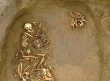 Ancient DNA study reveals large-scale migrations into Bronze Age Britain