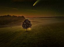 Comets' Heads Can Be Green, But Never Their Tails: After 90 Years, We Finally Know Why