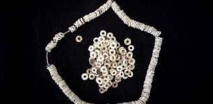 Ostrich Eggshell Beads Reveal 50,000-Year-Old Social Network Across Africa