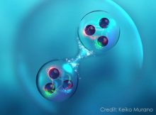 An artist’s impression of a newly predicted six-quark state (dibaryon) consisting of two baryons. Credit: 2021 Keiko Murano