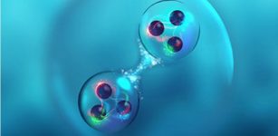 An artist’s impression of a newly predicted six-quark state (dibaryon) consisting of two baryons. Credit: 2021 Keiko Murano