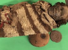 DNA Taken From Cement On Hairs Belonging To Ancient Mummies Shed Light On South American Ancestry