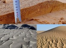 There Is A Hidden Order In Windswept Sand