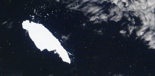 Satellites Show 'Mega-Iceberg' Released 152 Billion Tons Of Fresh Water Into Ocean As It Scraped Past South Georgia