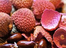 Lychee Genome Tells A Colorful Story About A Colorful Tropical Fruit