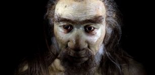 Modern Humans Carrying The Neanderthal Variant Have Less Protection Against Oxidative Stress