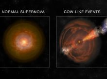 Artwork comparing a normal supernova to a cow-like supernova. Credit: Bill Saxton, NRAO/AUI/NSF