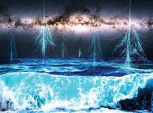 Supernovae And Life On Earth Appear Closely Connected
