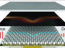 To turn ‘on’ an acoustic transistor, ultrasound arriving at the ‘gate’ input heats and expands the base plate, changing the spacing in two lattices of slightly-different-sized pillars, and inducing a topological transition that guides sound along the interface. (Credit: Hoffman Lab/Harvard SEAS)