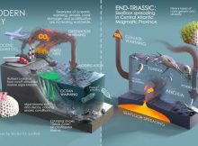 New study pinpoints twin triggers of Triassic era extinction event