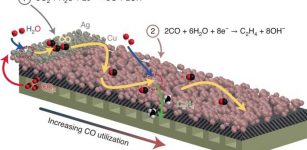 Graphical abstract. Credit: Nature Catalysis (2022). DOI: 10.1038/s41929-022-00751-0