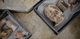 Surprising Discovery Of Ancient Sarcophagus At Paris' Notre Dame Cathedral