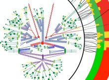 Exploring the smallest distance scales with particle colliders often requires detailed calculations of the spectra of outgoing particles (smallest filled green circles). Credit: Benjamin Nachman, Berkeley Lab