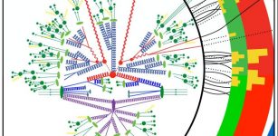 Exploring the smallest distance scales with particle colliders often requires detailed calculations of the spectra of outgoing particles (smallest filled green circles). Credit: Benjamin Nachman, Berkeley Lab