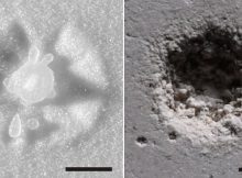 A new study led by University of Minnesota Twin Cities researchers shows why liquid droplets have the ability to erode hard surfaces, a discovery that could help engineers design more erosion-resistant materials. The above image shows the impact droplets can make on a granular, sandy surface (left) versus a hard, plaster (right) surface. Credit: Cheng Research Group, University of Minnesota
