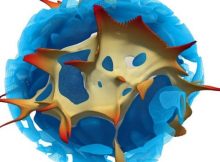 The Earth beneath us may be shifting -- not static