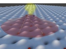 A cartoon depiction of the light-induced ferromagnetism that the researchers observed in ultrathin sheets of tungsten diselenide and tungsten disulfide. Laser light, shown in yellow, excites an exciton—a bound pair of an electron (blue) and its associated positive charge, also known as a hole (red). This activity induces long range exchange interactions among other holes trapped within the moiré superlattice, orienting their spins in the same direction. Credit: Xi Wang/University of Washington