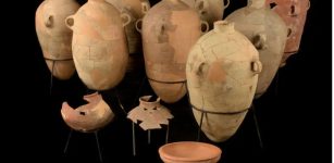 Collection of wine jars after the restoration process. Credit: Dafna Gazit, Israel Antiquities Authority