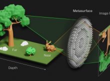 Illustration of how the metalens modeled on the compound lens of a trilobite simultaneously focuses object both near (rabbit) and far (tree). Credit: S. Kelley/NIST