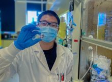 Post-doctoral researcher Hao Chen shows off a prototype inverted perovskite solar cell. The team leveraged quantum mechanics to improve both the stability and efficiency of this alternative solar technology. Credit: Bin Chen
