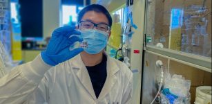 Post-doctoral researcher Hao Chen shows off a prototype inverted perovskite solar cell. The team leveraged quantum mechanics to improve both the stability and efficiency of this alternative solar technology. Credit: Bin Chen