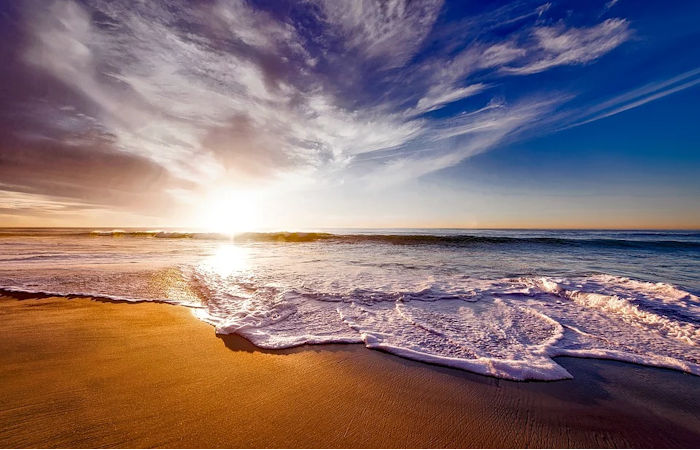 Ocean Water Samples Yield Treasure Trove Of RNA Virus Data