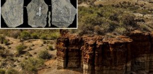 Olduvai Gorge: Direct Cosmogenic Nuclide Dating Of Olduvai Lithic Industry