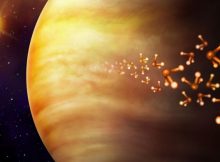 Illustration of the planet Venus and the phosphine molecule, made up of one phosphorus and three hydrogen atoms. Phosphine is considered a bioindicator, that is, a possible indicator of biological activity. Credit: Danielle Futselaar