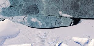 Young (blue) and landfast (smooth white) sea ice offshore of New Bedford Inlet, eastern Antarctic Peninsula, as imaged by the Operational Land Imager instrument onboard the USGS/NASA Landsat 8 satellite on 5th March 2017. Credit: Frazer Christie