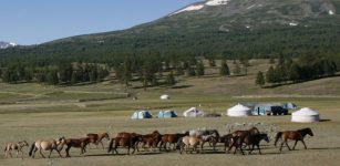 Livestock And Dairying Led To Dramatic Social Changes In Ancient Mongolia - New Study