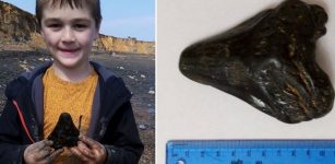 Schoolboy Finds A Huge 3,000,000-Year-Old Megalodon Shark Tooth On British Beach