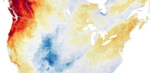 New Study Lays Out Hidden Backstory Behind Deadly Pacific Northwest Heat Wave