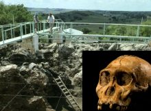 Fossils In The 'Cradle Of Humankind' May Be More Than A Million Years Older Than Previously Thought