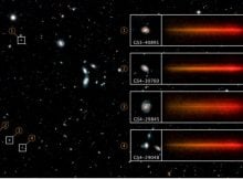 This Hubble image features four of the thousands of galaxies found within the Hubble Ultra Deep Field. All of the highlighted galaxies show evidence of vigorous star formation (blue regions filled with hot, young stars). In the insets at right, the near-infrared spectrum of each galaxy is displayed. By examining a galaxy's spectrum, you can learn about the ages of its stars, its star formation history, how many heavy chemical elements it contains, and more. Upon entering operations in 2027, the Nancy Grace Roman Space Telescope will be able to collect spectra for every object in its field of view, which is more than 100 times larger than Hubble's. As a result, it will enable studies of rare galaxies from a period known as "cosmic noon," when many galaxies went through growth spurts. Credit: Science: NASA, ESA, Casey Papovich (TAMU); Image processing: Alyssa Pagan (STScI)