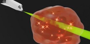 Induced transparency: The precise control of the energy flow (indicated by glowing particles in the fog) makes the artificial material become entirely transparent for the optical signal. Credit: Andrea Steinfurth / University of Rostock