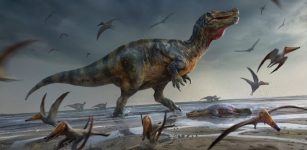 Europe's Largest Predatory Dinosaur Unearthed On The Isle Of Wight