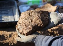 Bronze Age Finding Offer New Clues On The Beginnings Of Cardiff