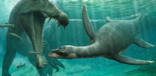 Ancient Fossil Found In Sahara Suggests Loch Ness Monster Could Be Real