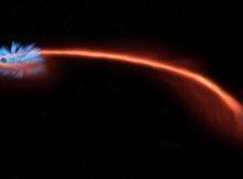 If a star (red trail) wanders too close to a black hole (left), it can be shredded, or spaghettified, by the intense gravity. Some of the star’s matter swirls around the black hole, like water down a drain, emitting copious X-rays (blue). Recent studies of these so-called tidal disruption events suggest that a significant fraction of the star’s gas is also blown outward by intense winds from the black hole, in some cases creating a cloud that obscures the accretion disk and the high-energy events happening within. Credit: NASA/CXC/M. Weiss