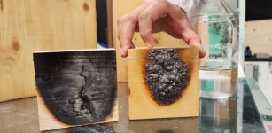 An Invisible Coating To Make Wood 'Fireproof'