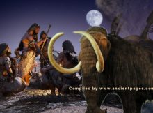 New Mexico Mammoths Offer Evidence Of Early Humans In North America Much Earlier Than Previously Thought