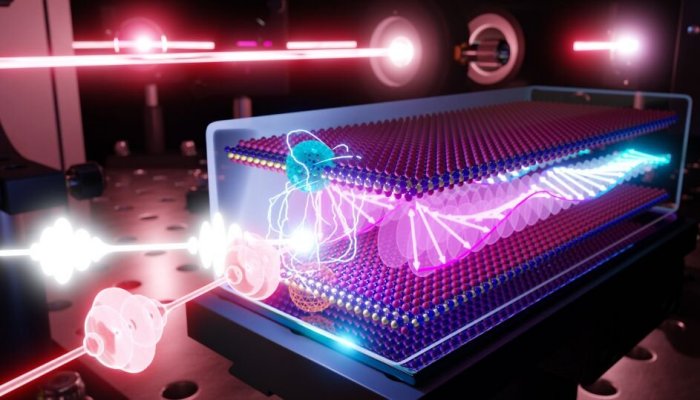 The pairing between magnons and excitons will allow researchers to see spin directions, an important consideration for several quantum applications. Credit: Chung-Jui Yu