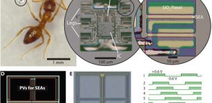 Smart Microrobots Walk Autonomously With Electronic 'Brains'