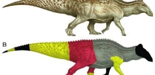 Dinosaur 'Mummies' Might Not Be As Unusual As We Think