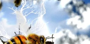 AI rendering of bees and electricity. Credit: Ellard Hunting