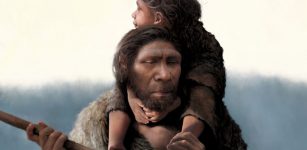 Meet The First Neanderthal Family And Community
