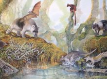 Reign Of Papua New Guinea's Megafauna Lasted Long After Humans Arrived