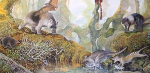 Reign Of Papua New Guinea's Megafauna Lasted Long After Humans Arrived