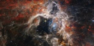 Star-Child­hood Shapes Stel­lar Evo­lu­tion