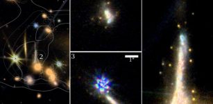 The surrounding environment of the Sparkler galaxy (L) and close-up views of it. Credit: Mowla, Iyer et al. 2022